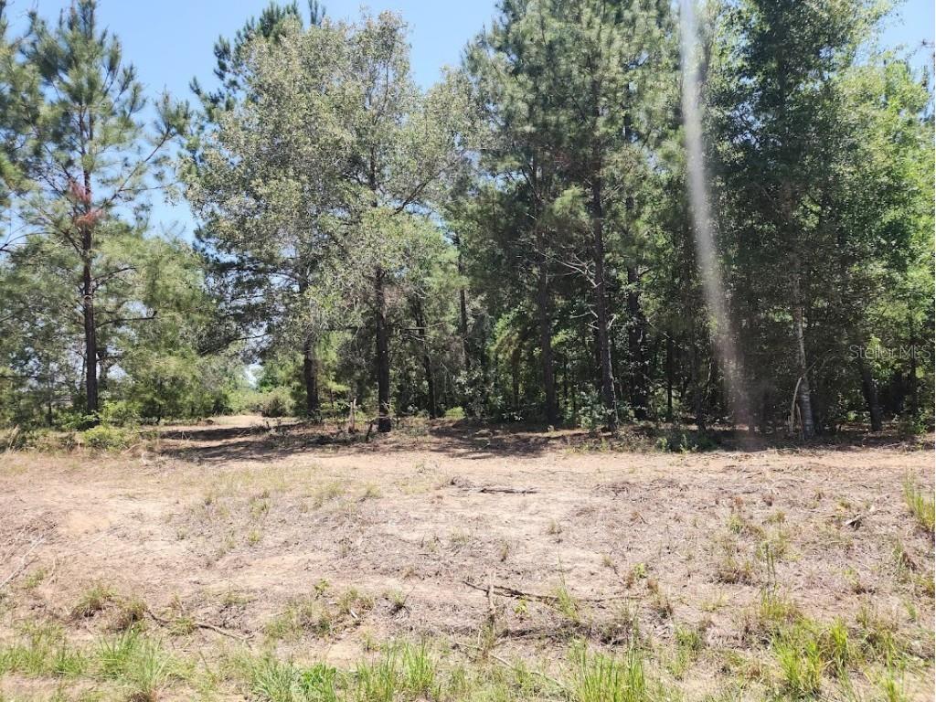 Lot 1 SW Pine Bluffs Road Dunnellon FL 34431 OM704177 image17