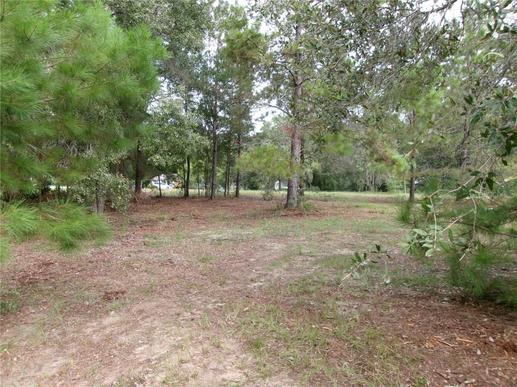 Lot 1 SW Pine Bluffs Road Dunnellon FL 34431 OM704177 image19