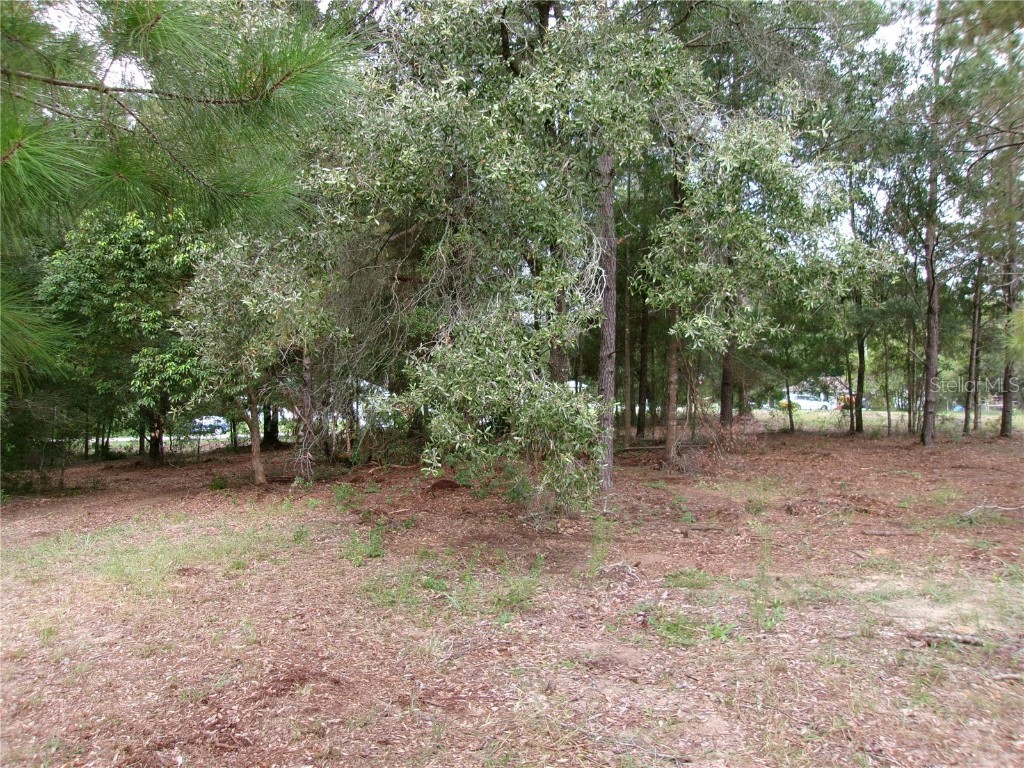 Lot 1 SW Pine Bluffs Road Dunnellon FL 34431 OM704177 image20