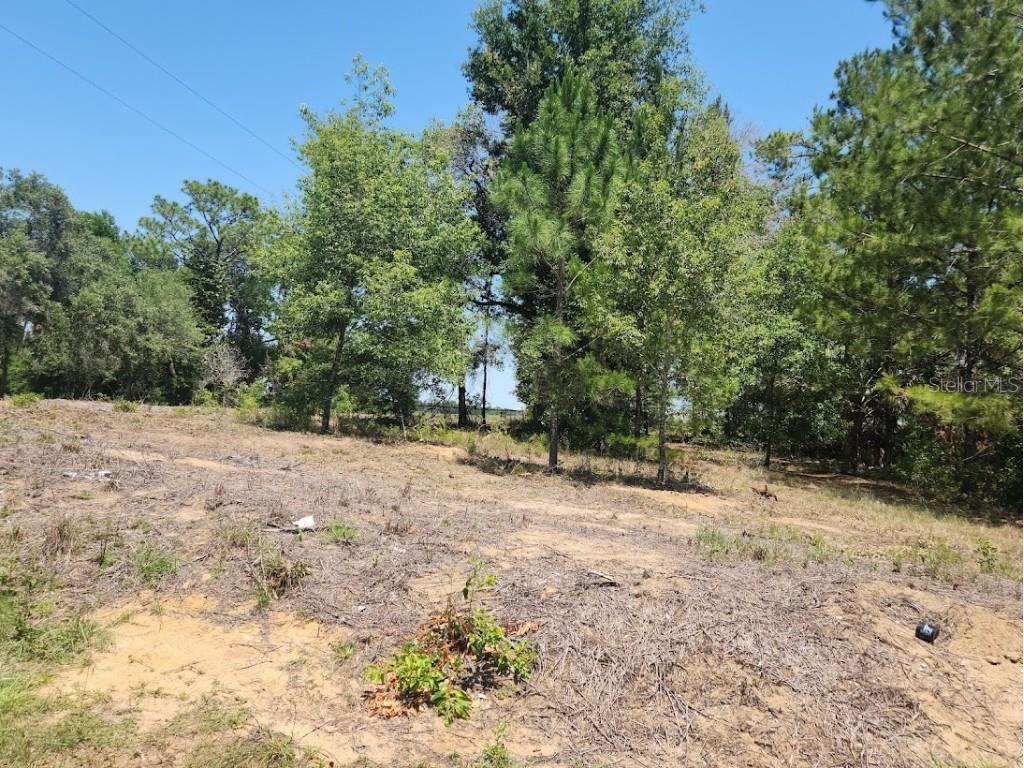 Lot 1 SW Pine Bluffs Road Dunnellon FL 34431 OM704177 image22