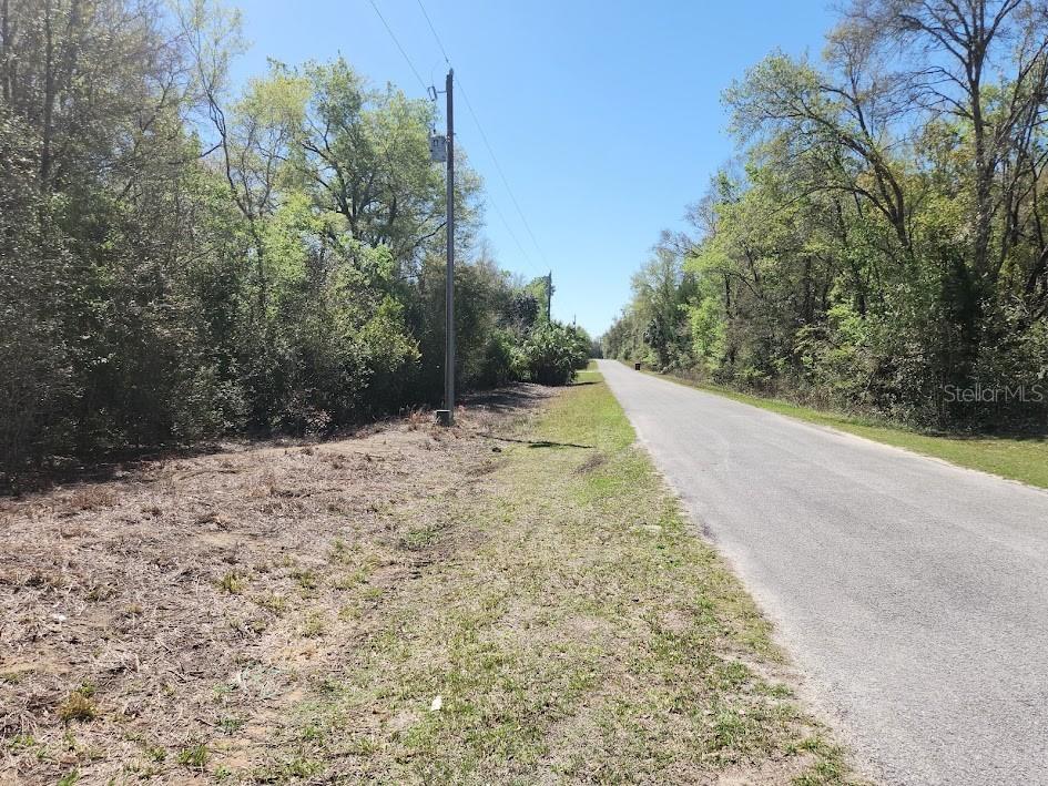 Lot 1 SW Pine Bluffs Road Dunnellon FL 34431 OM704177 image23