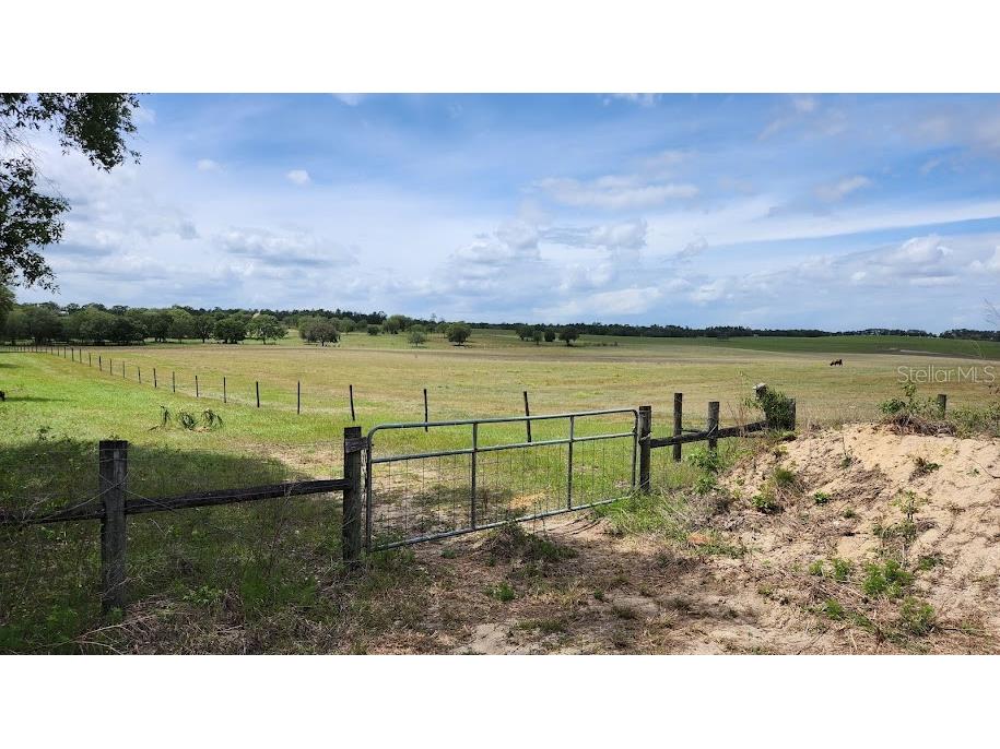 Lot 1 SW Viburnum Dunnellon FL 34431 OM657364 image1