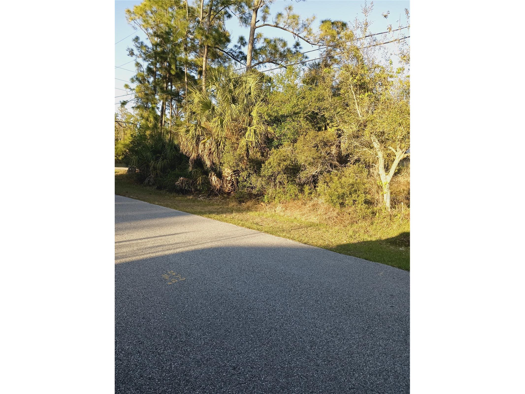 Lot 1 Tropicaire Boulevard North Port FL 34291 N6143998 image2