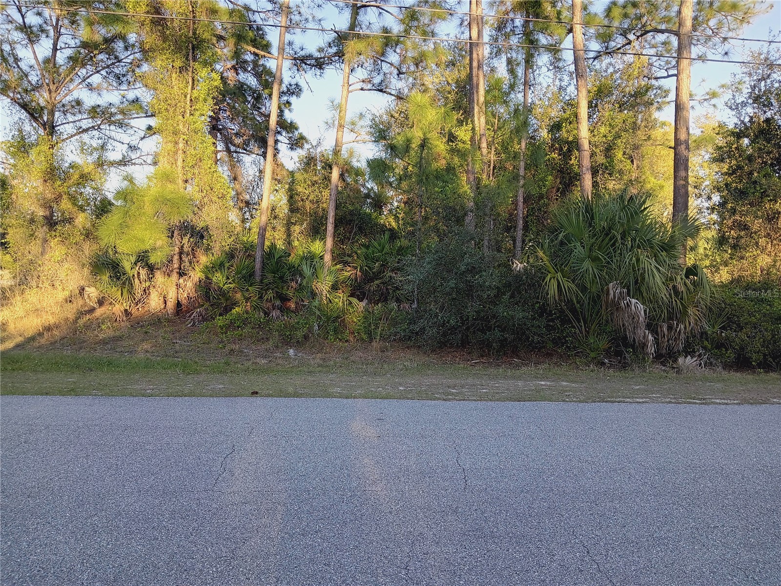 Lot 1 Tropicaire Boulevard North Port FL 34291 N6143998 image3