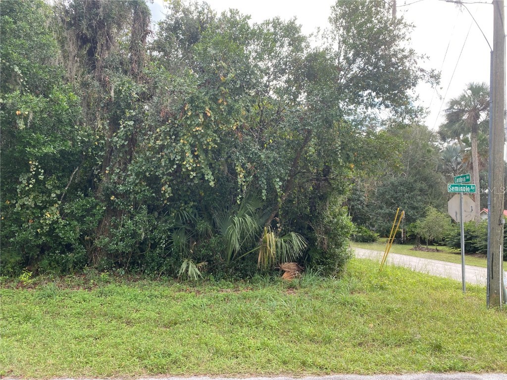 Lot 1 of 5 Cordova Avenue De Leon Springs FL 32130 V4926803 image1