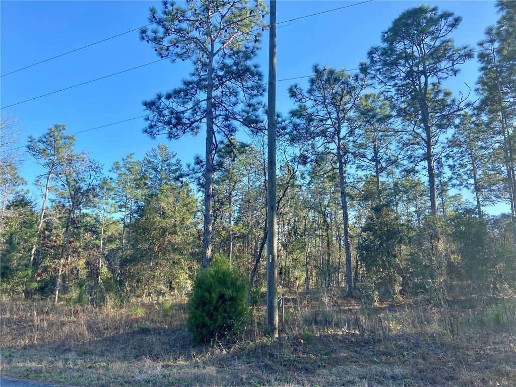 Lot 10.11 SW Pony Ridge Drive Dunnellon FL 34431 - BONABLE LAKE - TIGER LAKE OM671847 image1