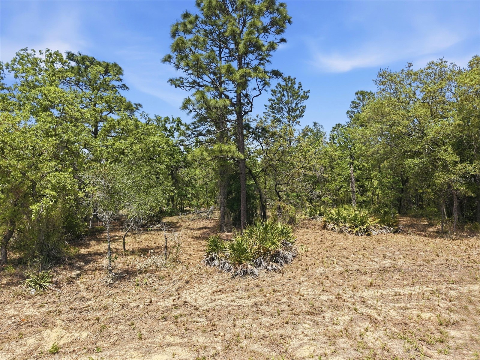 Lot 10 Cagarro Road Weeki Wachee FL 34614 W7885108 image11