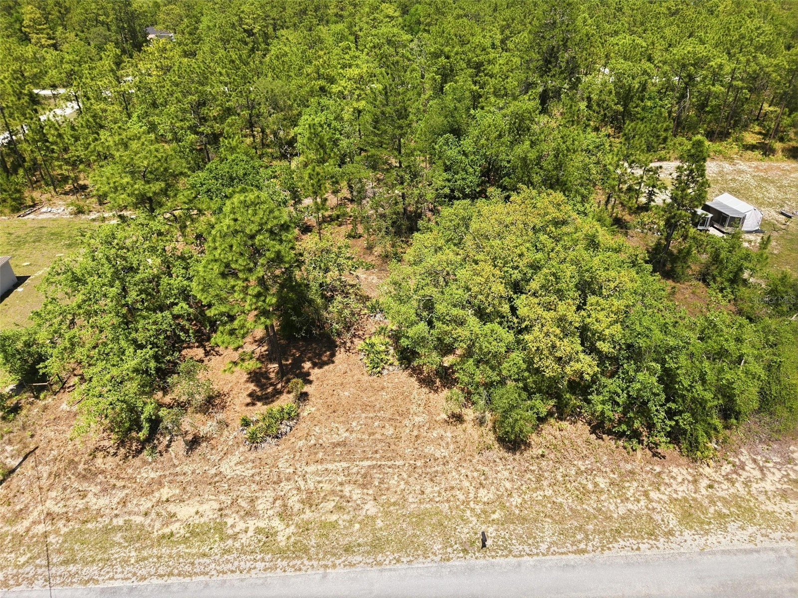 Lot 10 Cagarro Road Weeki Wachee FL 34614 W7885108 image12