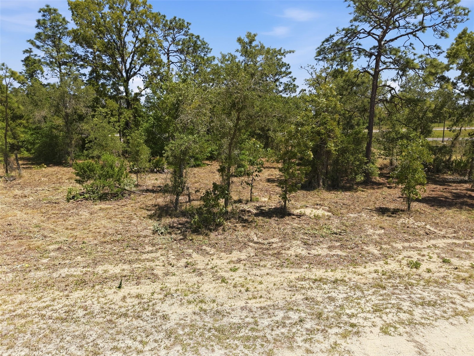 Lot 10 Cagarro Road Weeki Wachee FL 34614 W7885108 image3