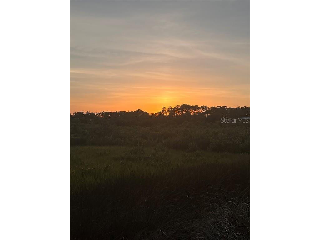 Lot 10 East Point Road Cedar Key FL 32625 U8186187 image1