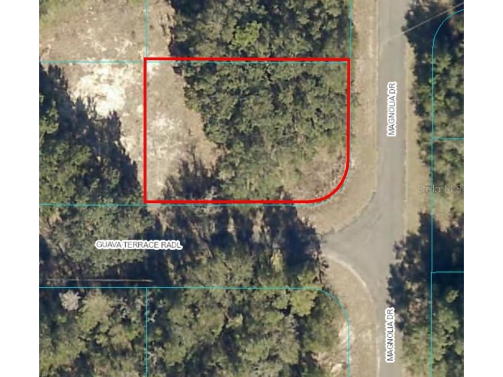 Lot 10 Magnolia Drive Ocklawaha FL 32179 OM648678 image1