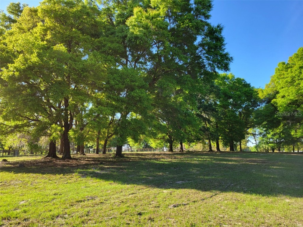 Lot 10 NE 141 Street Citra FL 32113 OM674641 image1