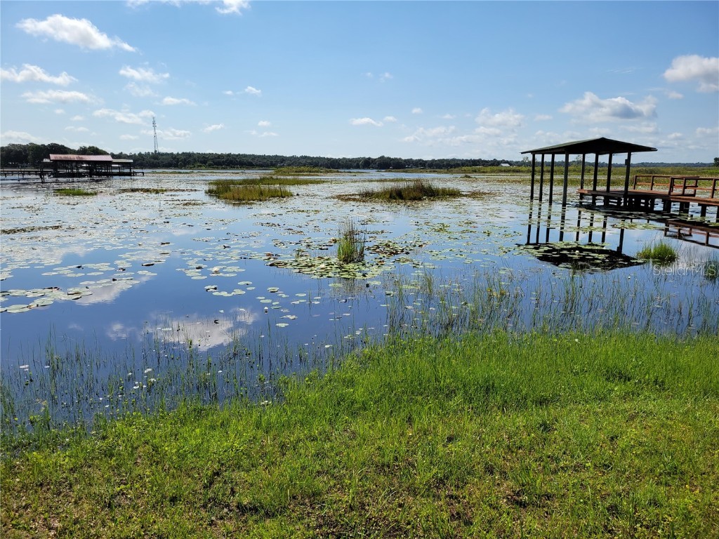 Lot 10 NE 242 Avenue Salt Springs FL 32134 OM660406 image1