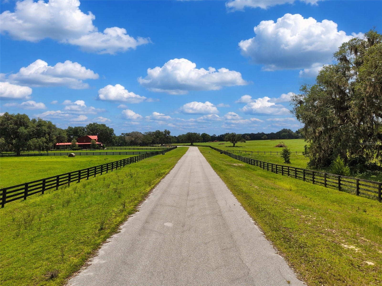 Lot 10 NW 123rd Lane Morriston FL 32668 GC540829 image10