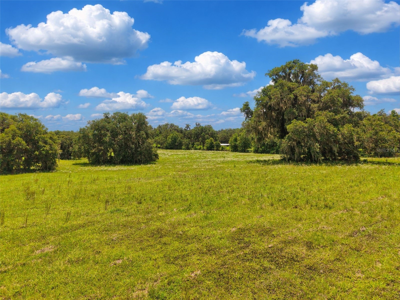 Lot 10 NW 123rd Lane Morriston FL 32668 GC540829 image11