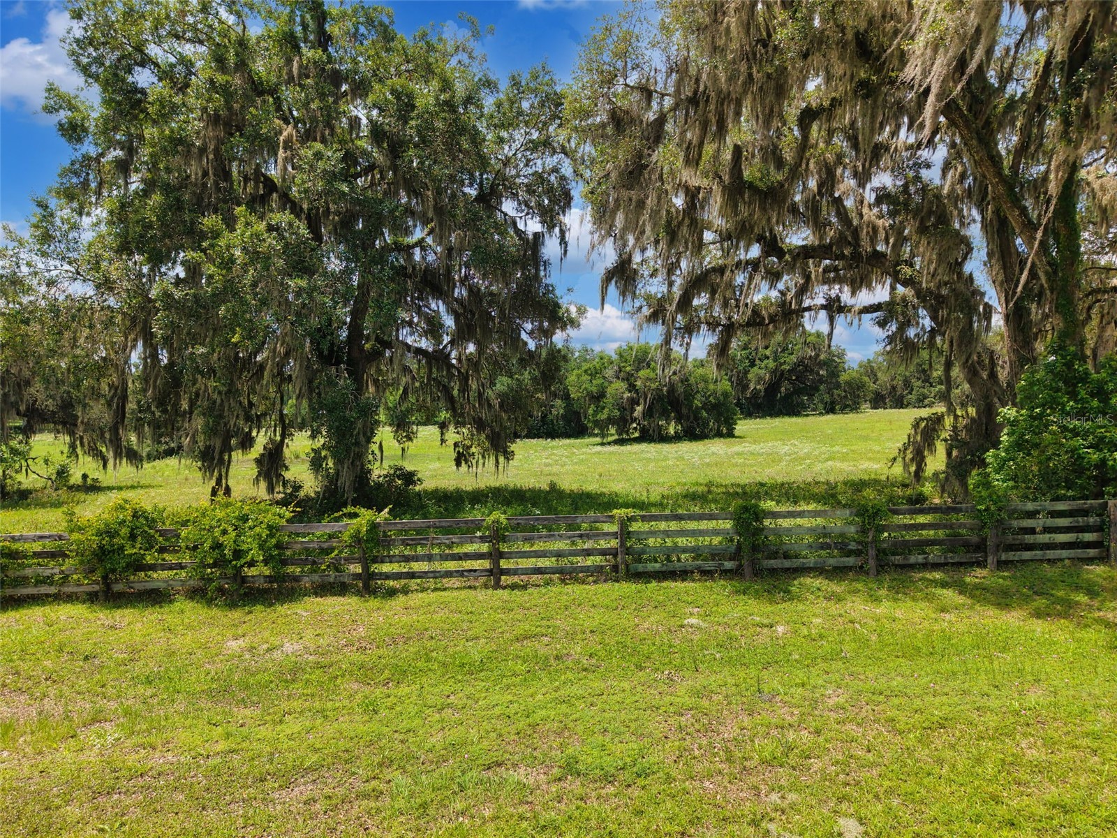 Lot 10 NW 123rd Lane Morriston FL 32668 GC540829 image12