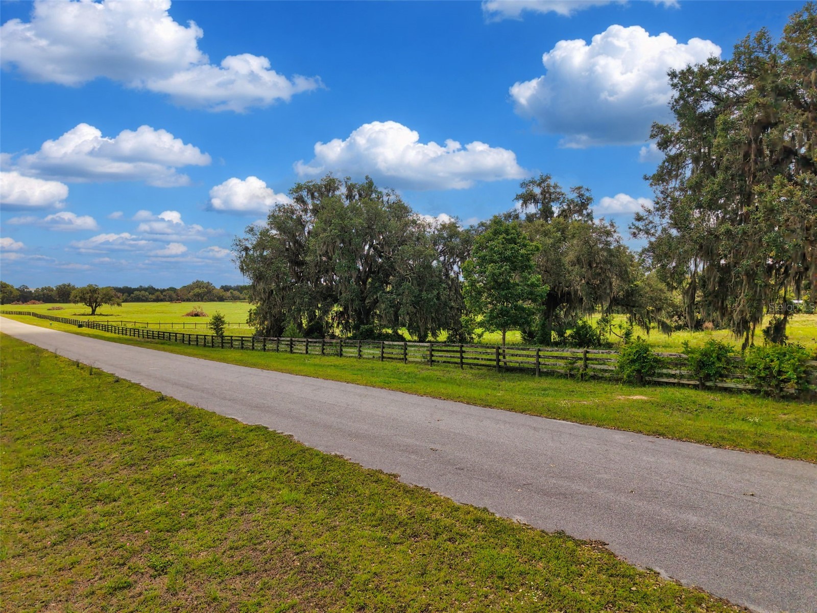 Lot 10 NW 123rd Lane Morriston FL 32668 GC540829 image13