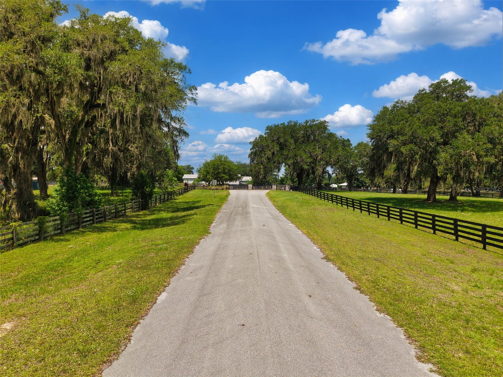 Lot 10 NW 123rd Lane Morriston FL 32668 GC540829 image9