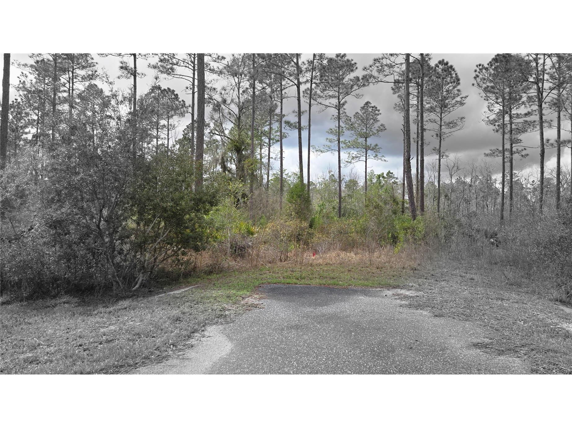 Lot 10 NW Natalie Way Lake City FL 32055 GC538444 image2