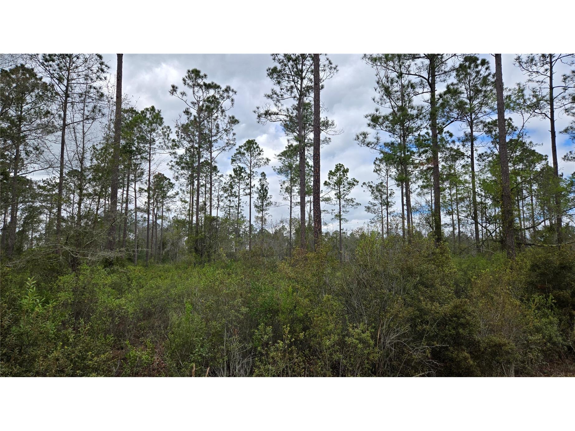 Lot 10 NW Natalie Way Lake City FL 32055 GC538444 image3