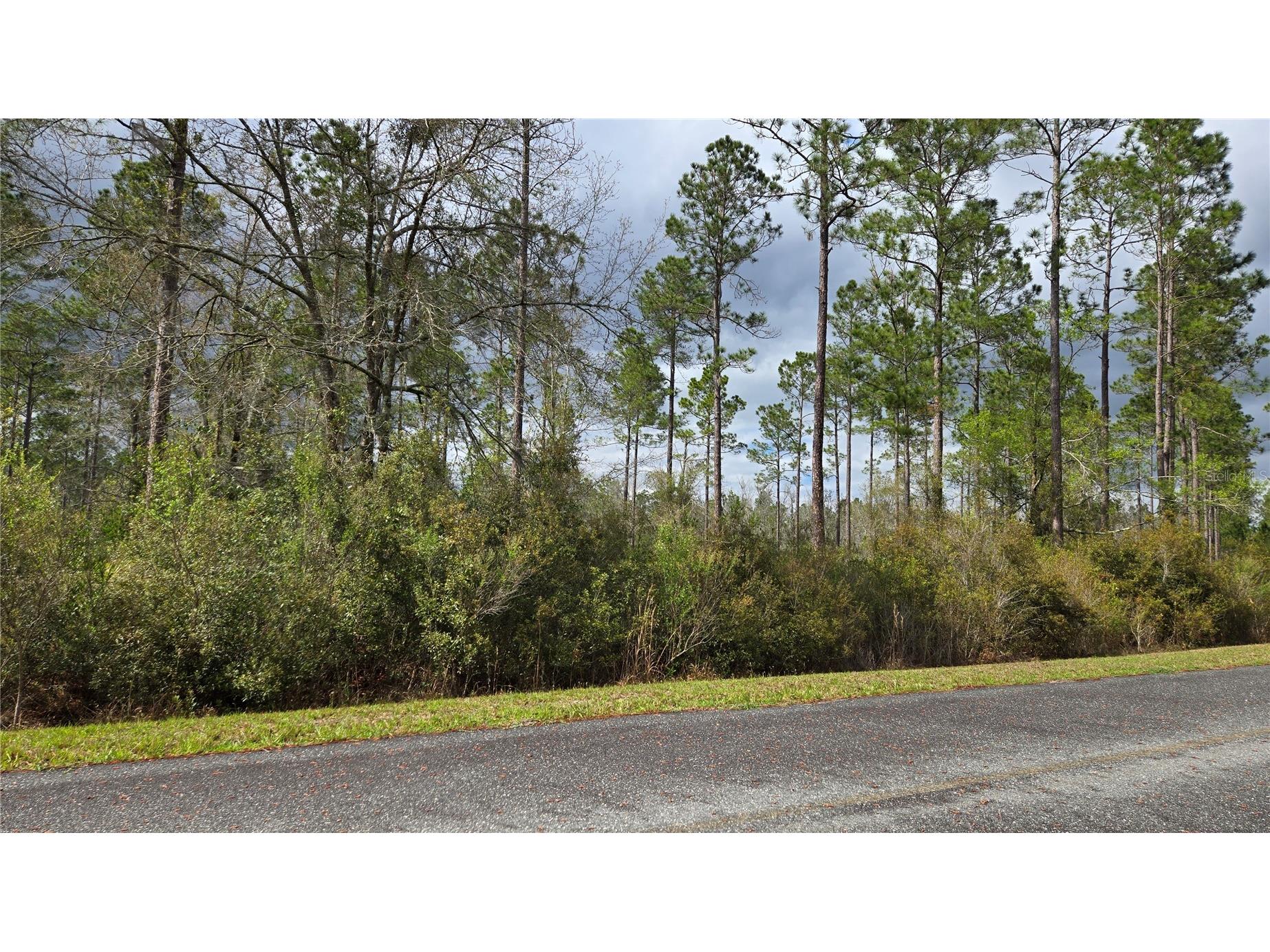 Lot 10 NW Natalie Way Lake City FL 32055 GC538444 image4