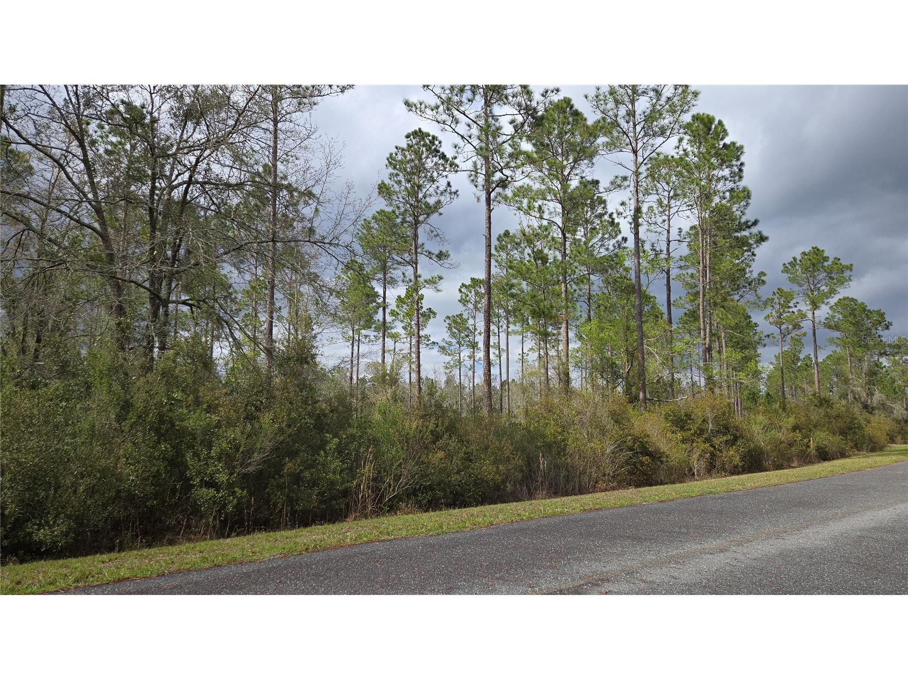 Lot 10 NW Natalie Way Lake City FL 32055 GC538444 image5