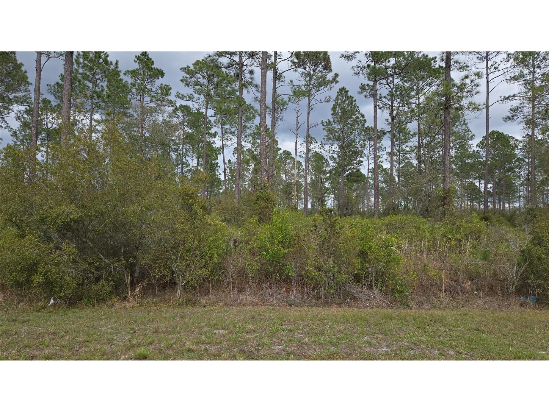 Lot 10 NW Natalie Way Lake City FL 32055 GC538444 image6
