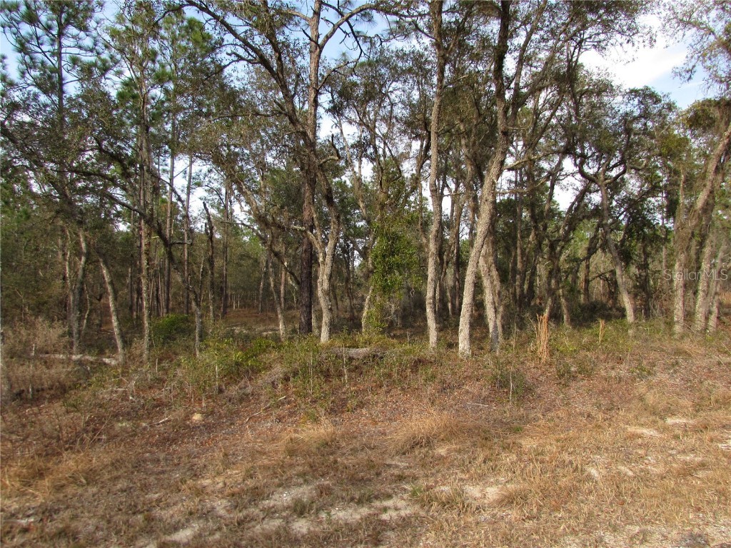 Lot 10 SE 130th Avenue Dunnellon FL 34431 - RAINBOW LAKES ESTATE HAS 3 LAKES IN THE COMMUNITY OM670799 image1