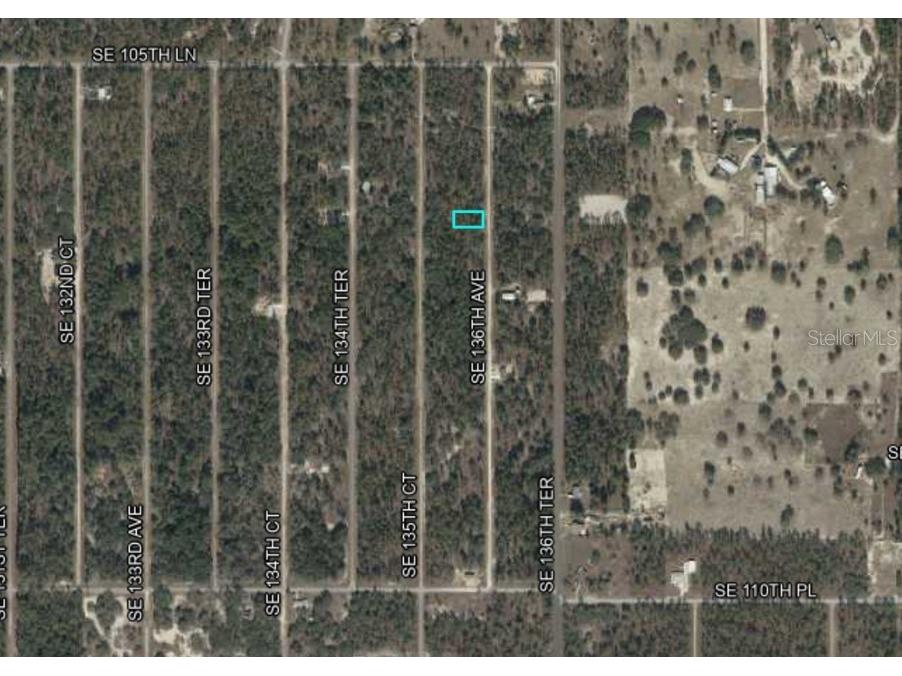 Lot 10 SE 136th Avenue Dunnellon FL 34431 OM718621 image4