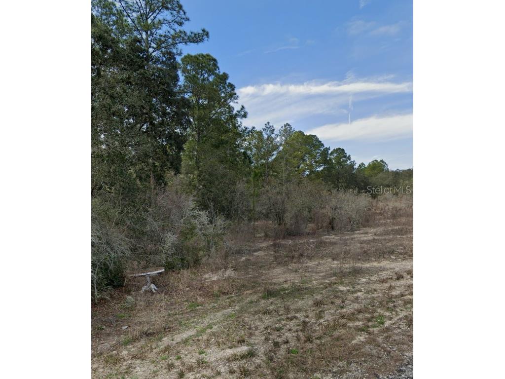 Lot 10 Softstone Drive Webster FL 33597 GC524462 image1