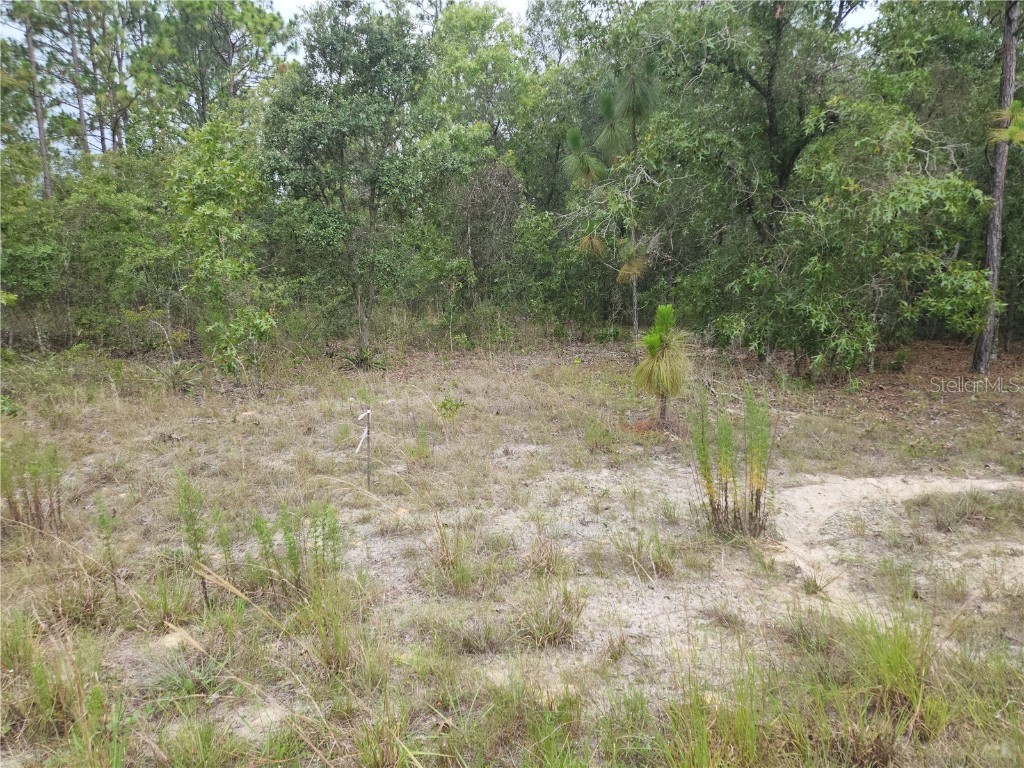 Lot 10 SW 123rd Terrace Dunnellon FL 34432 OM647997 image1