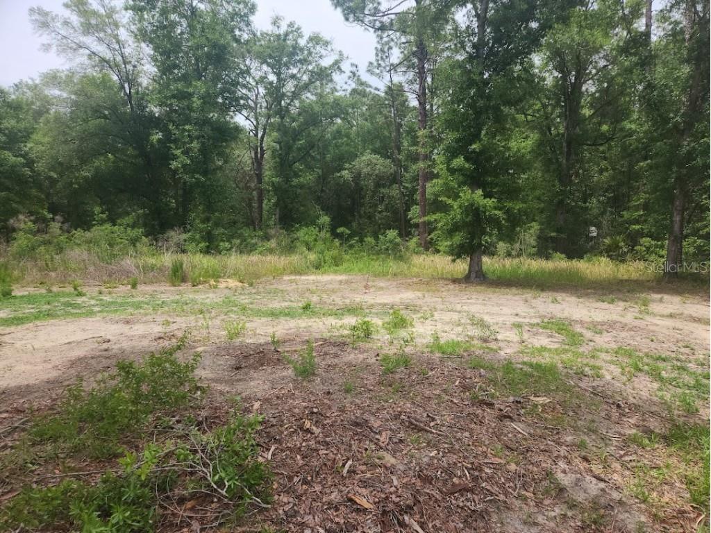Lot 10 SW 134 Terrace Ocala FL 34481 OM701233 image1