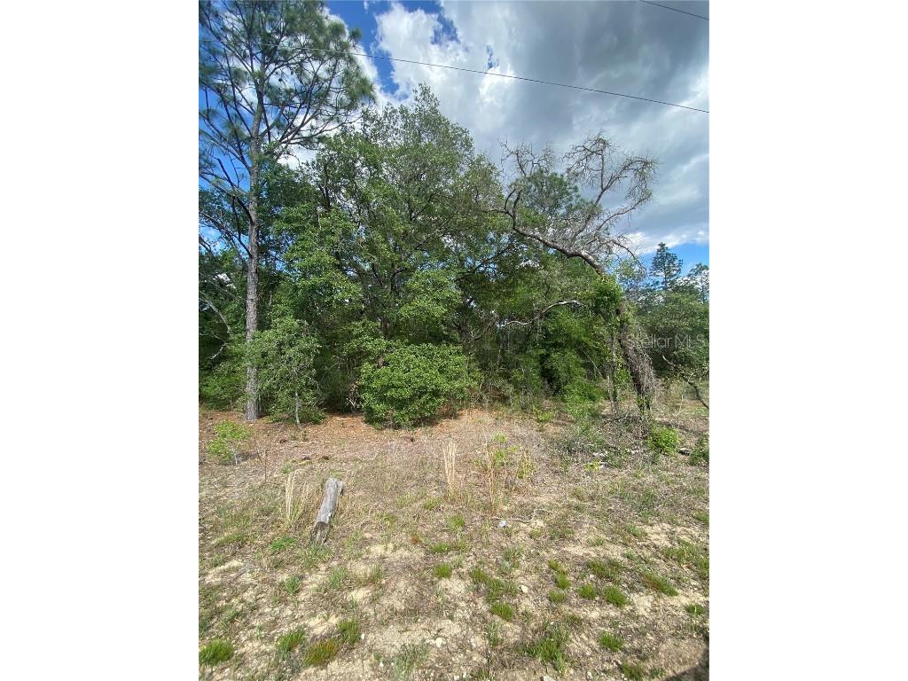 Lot 10 SW 202nd Court Dunnellon FL 34431 OM657741 image1