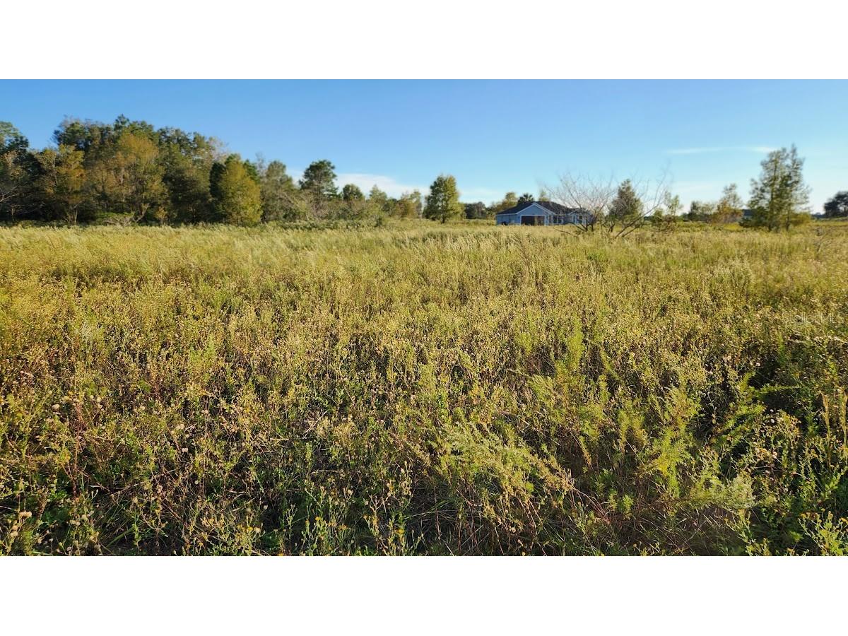 Lot 10 SW 31st Place Ocala FL 34481 OM666382 image1