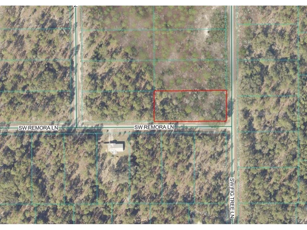 Lot 10 SW Fig Tree Lane Dunnellon FL 34431 OM719725 image2