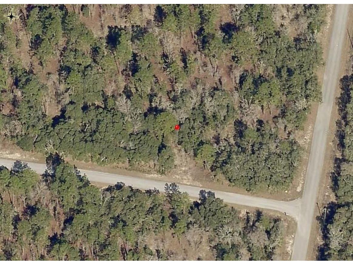 Lot 10 SW Fig Tree Lane Dunnellon FL 34431 OM719725 image3