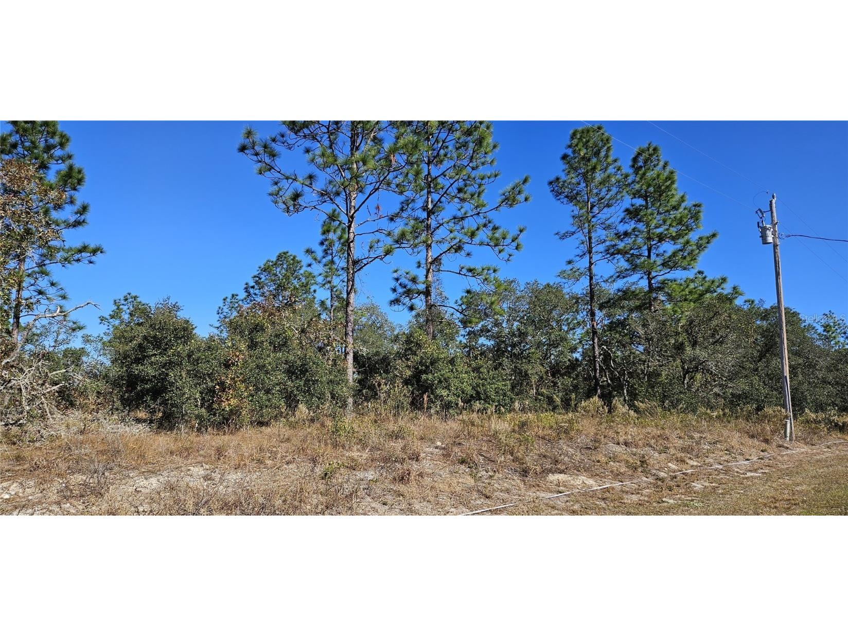 Lot 10 SW Nectarine Lane Dunnellon FL 34431 OM690229 image1