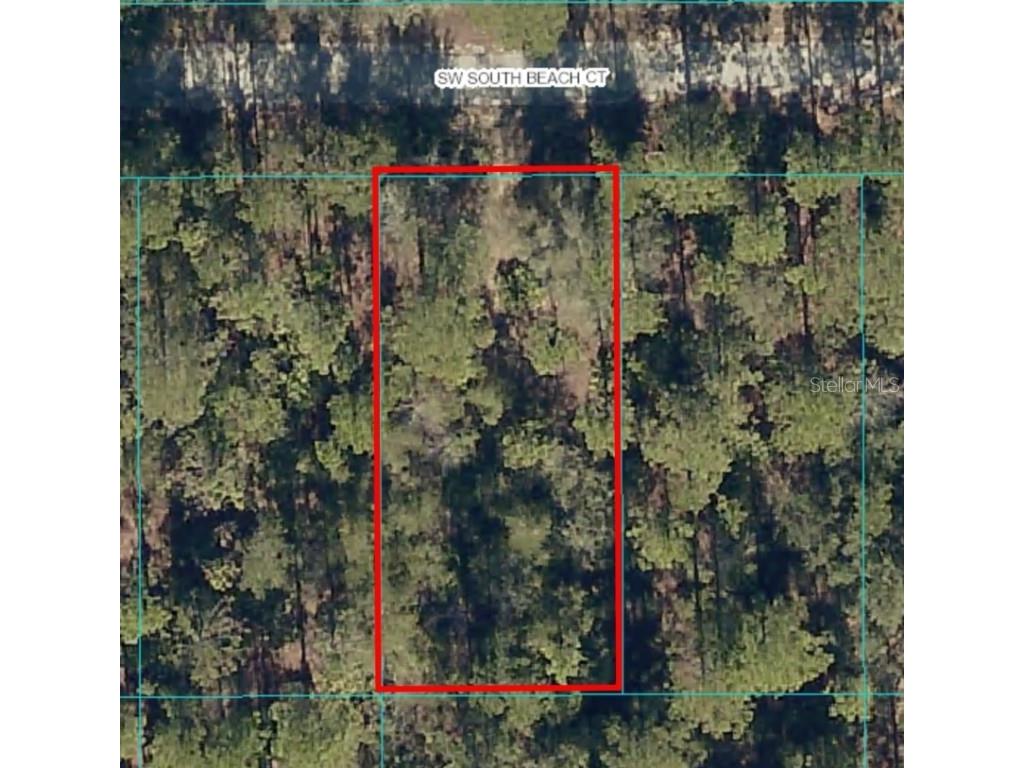 Lot 10 SW South Beach Court Dunnellon FL 34431 OM647864 image1