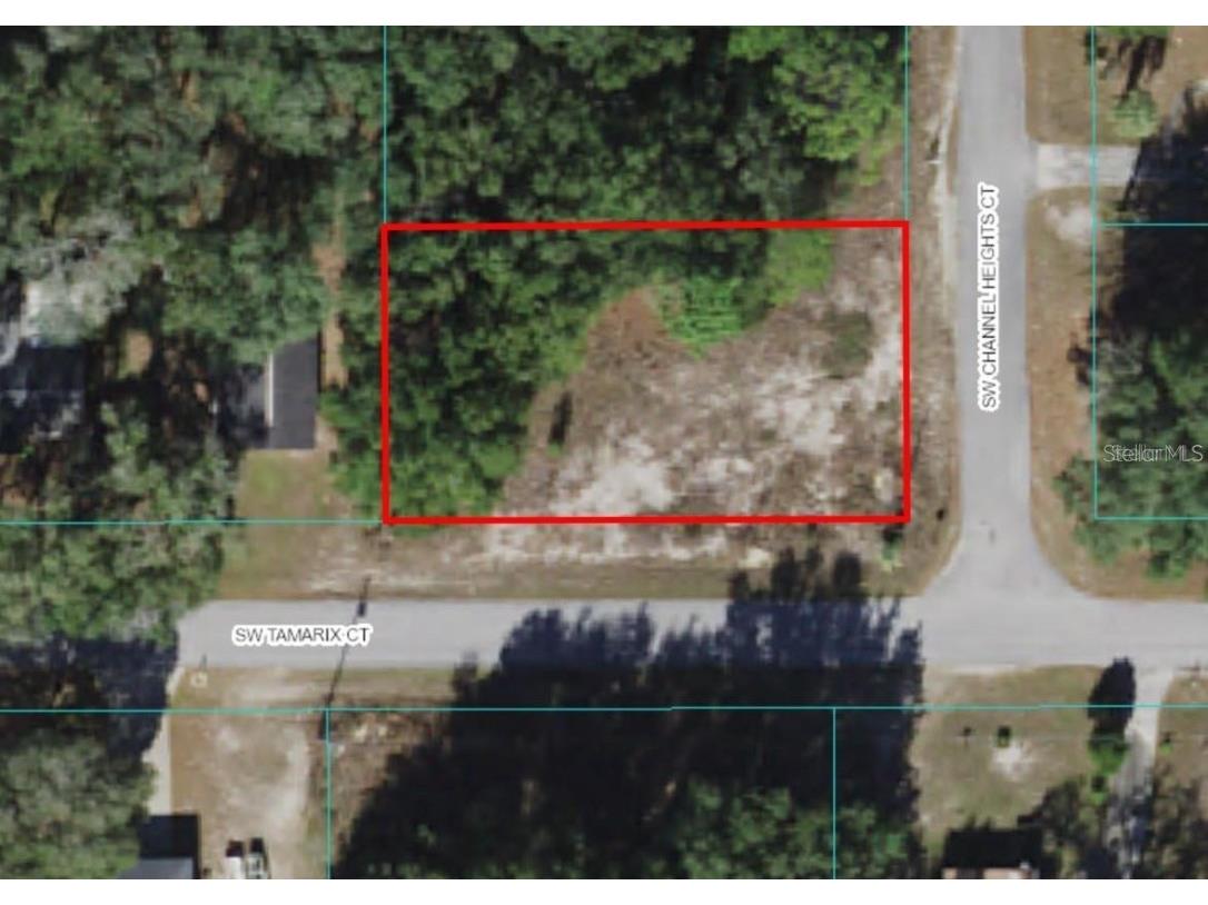 Lot 10 SW Tamarix Court Dunnellon FL 34431 OM685330 image1