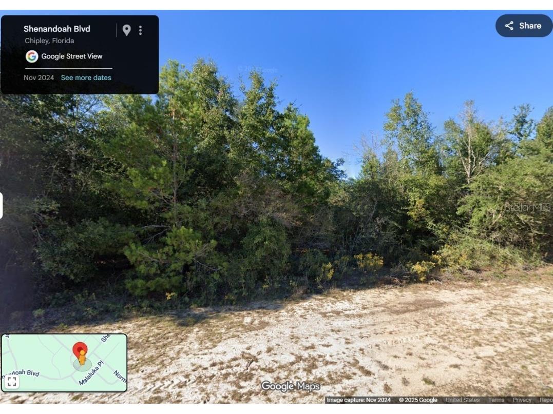 Lot 10 Unit 2 Blk 257 Shenandoah Boulevard Chipley FL 32428 OM715454 image1