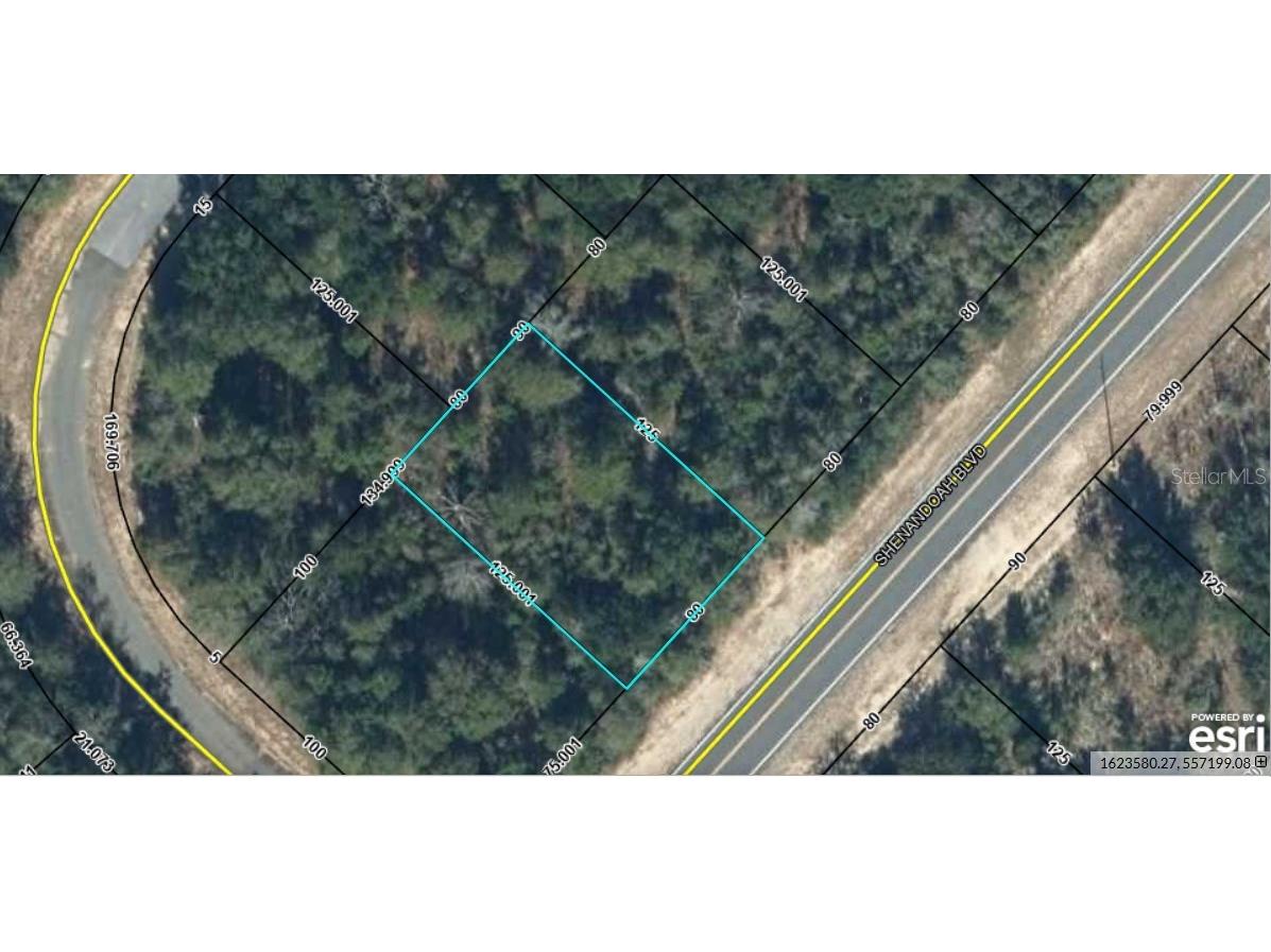Lot 10 Unit 2 Blk 257 Shenandoah Boulevard Chipley FL 32428 OM715454 image4