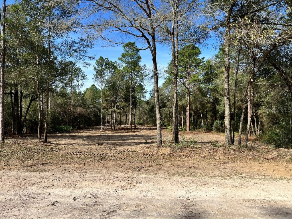 Lot 103 SW 60th Lane Road Ocala FL 34481 OM710850 image1
