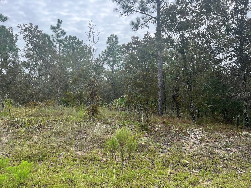 Lot 108 SW 125th Terrace Dunnellon FL 34432 OM665826 image1