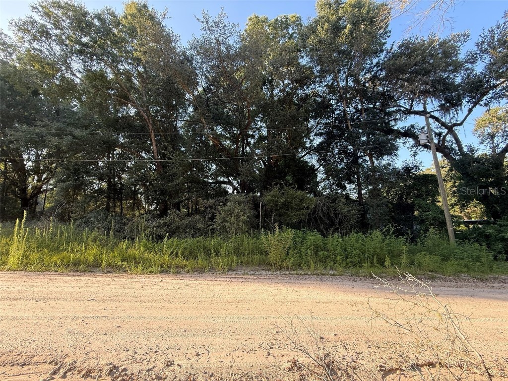 Lot #11 104th Lane Dunnellon FL 34432 OK225407 image1