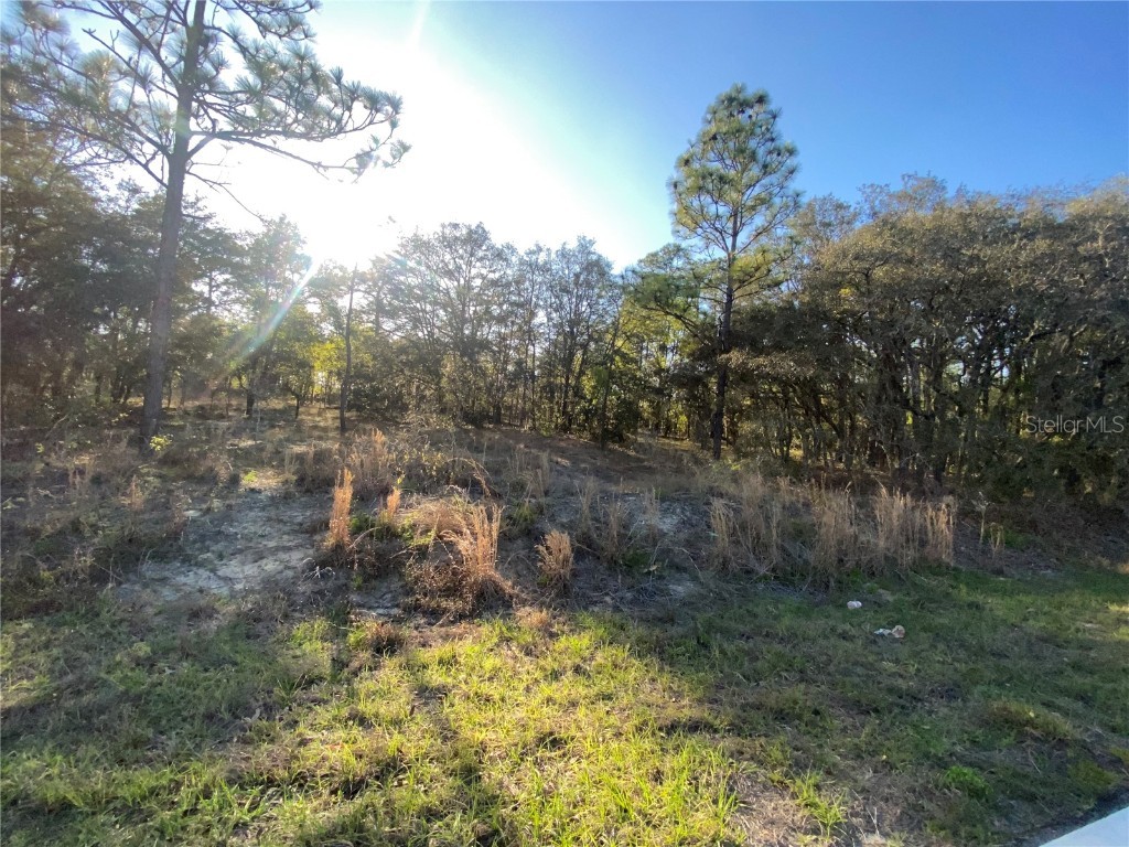 Lot 1112 NW Ridgewood Road Dunnellon FL 34431 A4570025 image1