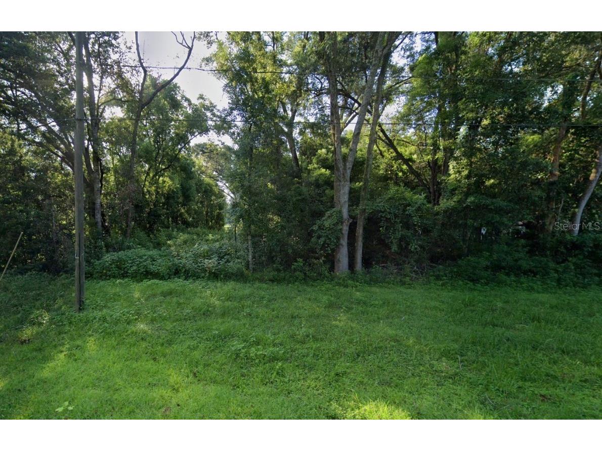 Lot 11 & 12 Roosevelt Avenue Brooksville FL 34604 A4641270 image1