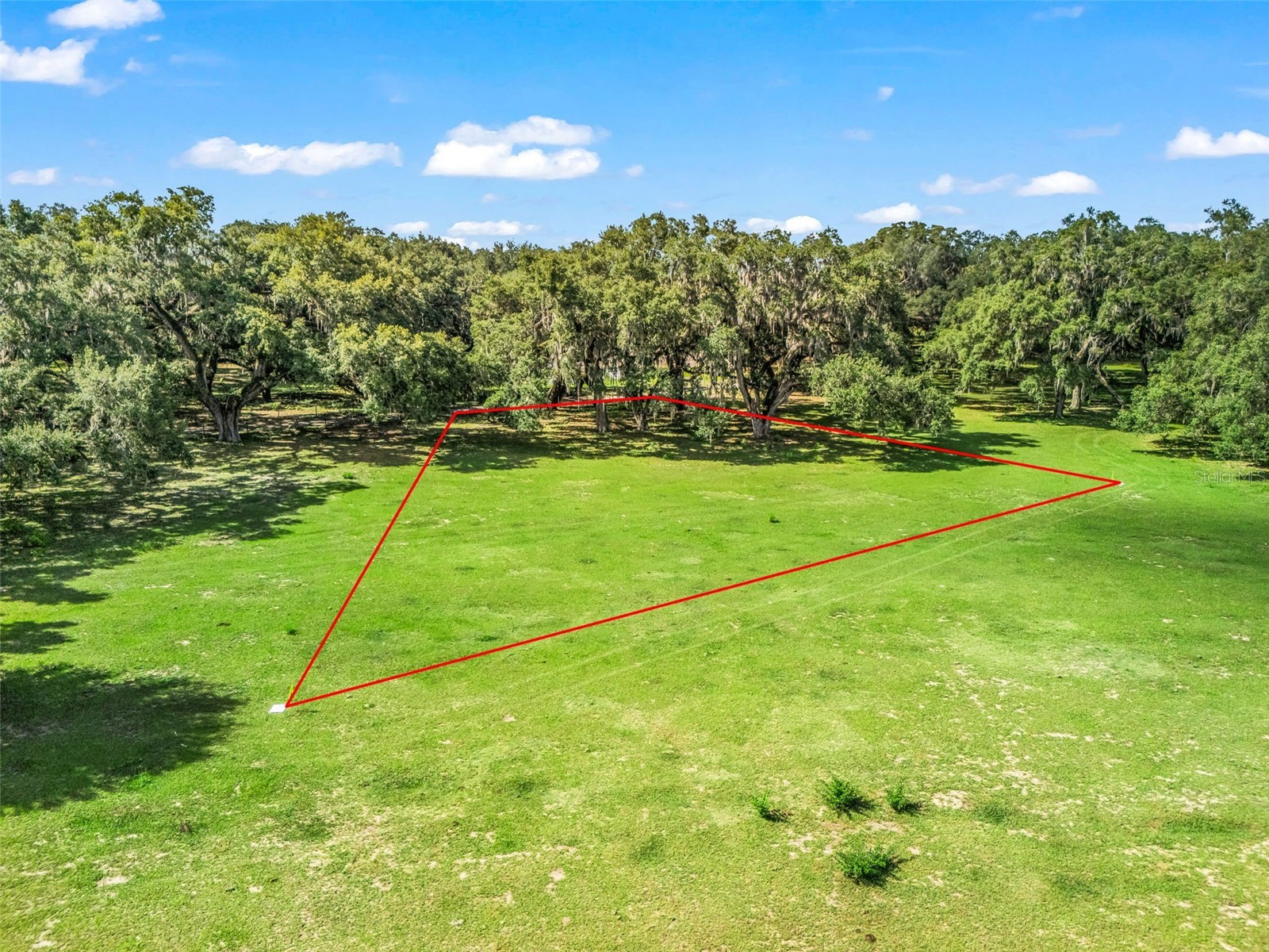 Lot 11 Cr 543 Bushnell FL 33513 TB8523173 image1