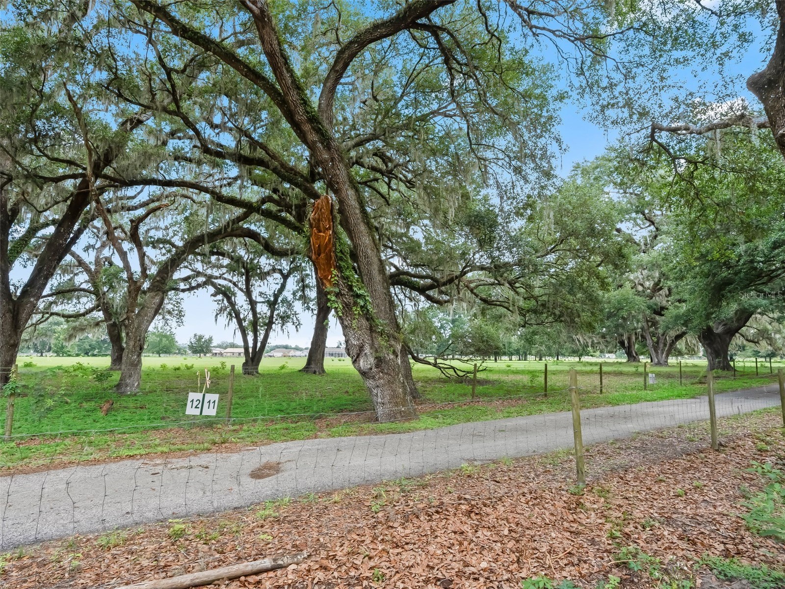 Lot 11 Cr 543 Bushnell FL 33513 TB8523173 image10