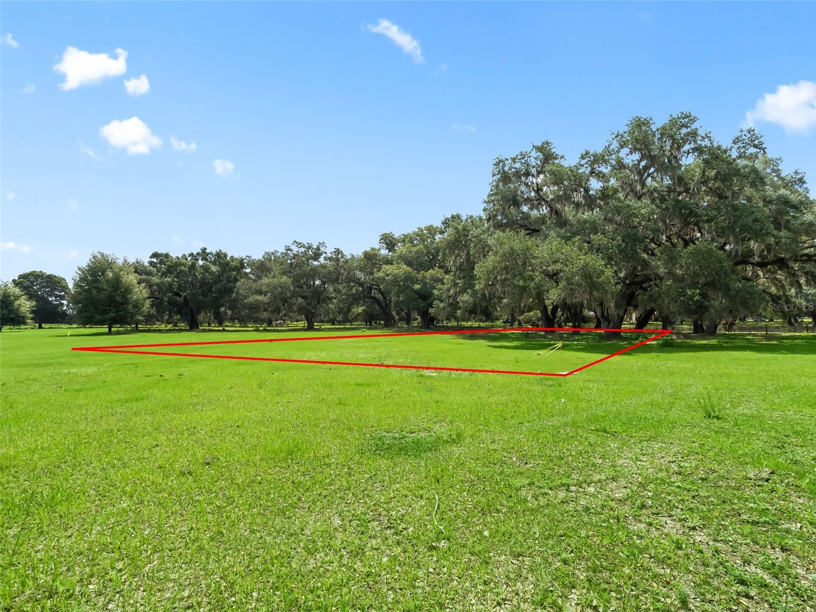 Lot 11 Cr 543 Bushnell FL 33513 TB8523173 image12