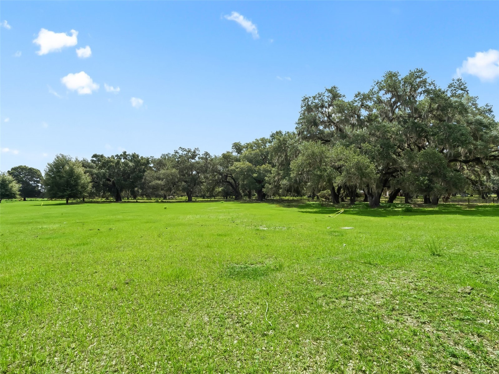 Lot 11 Cr 543 Bushnell FL 33513 TB8523173 image13